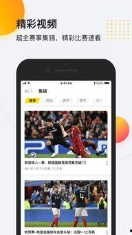 吃瓜网 体育圈app,体育圈APP背后的精彩故事